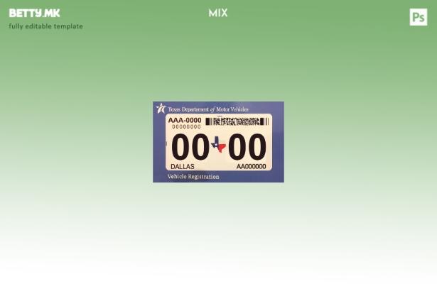 Модерен стил на САД Тексас авто осигурување шаблон